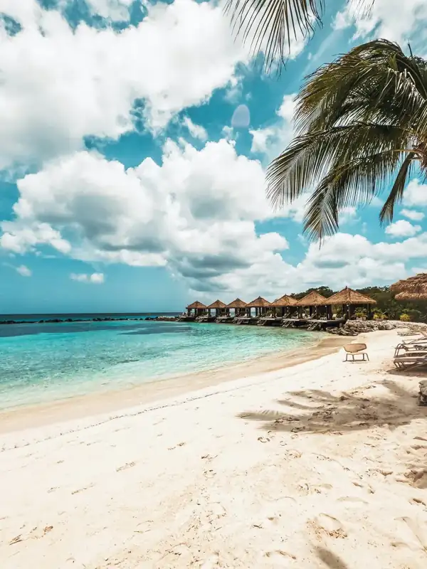 A beach with a palm tree and a hut in the background