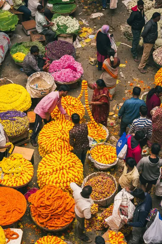A group of people standing around a bunch of flowers