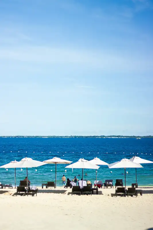 People on beach during daytime