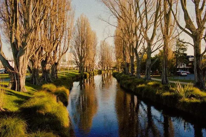 A river running through a lush green park
