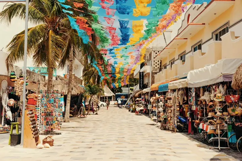 People walking on street during daytime