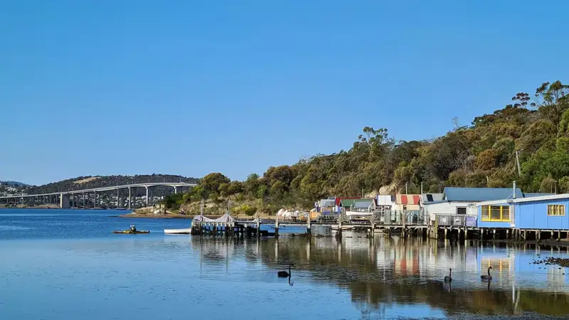 Boats on dock near green trees during daytime