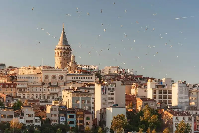 The Galata Tower rising above the cityscape of Istanbul with birds flying overhead