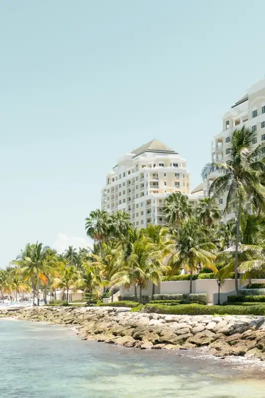 Palm trees line the shoreline of a tropical beach