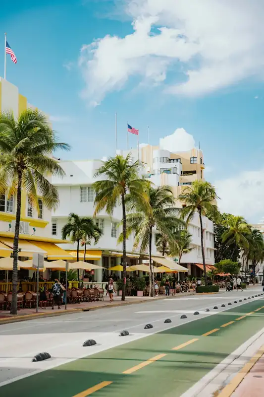 Palm trees line a sunny street with white buildings