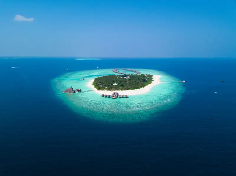Island surrounded with water with trees