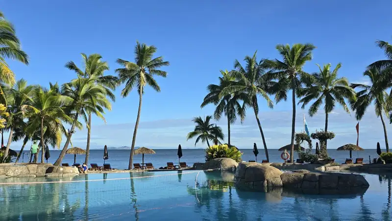 A large swimming pool surrounded by palm trees