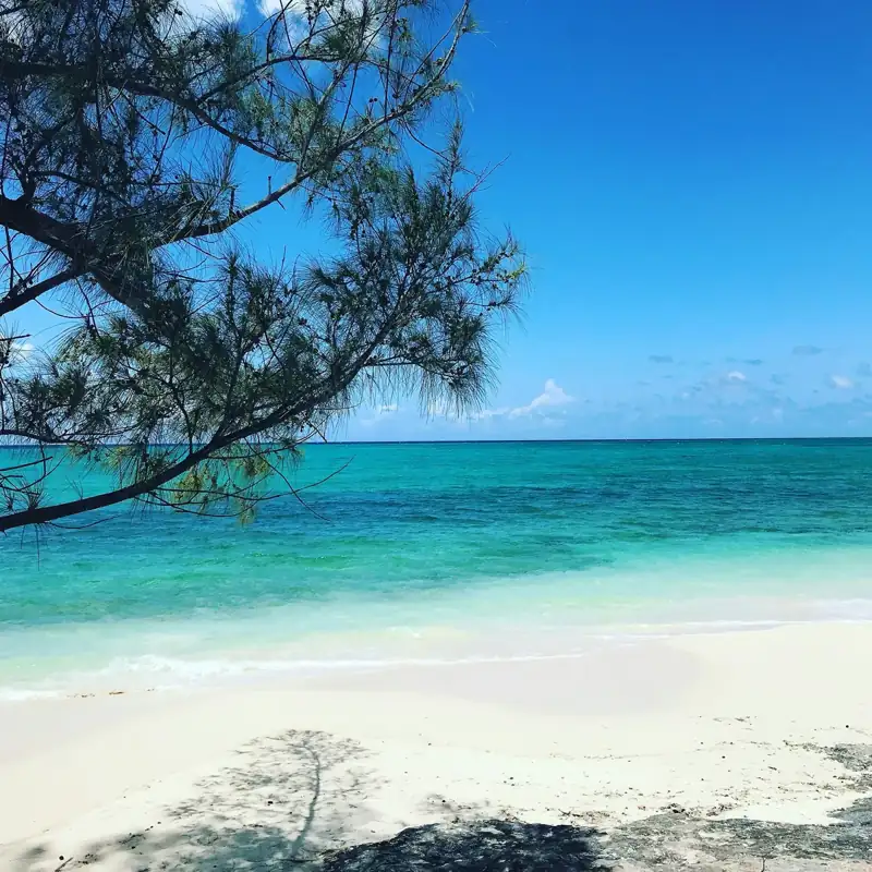 Ocean during daytime