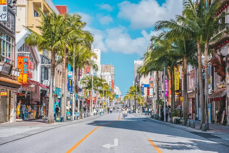 A city street lined with palm trees and shops