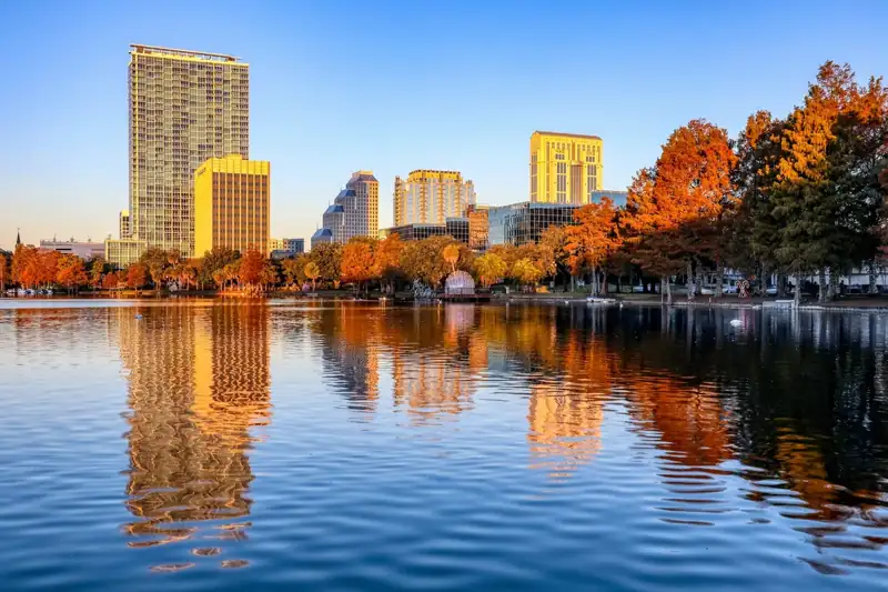 Green trees near body of water during daytime