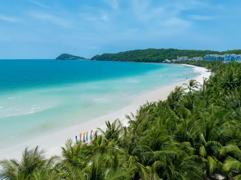 A beach with palm trees and a white sand beach