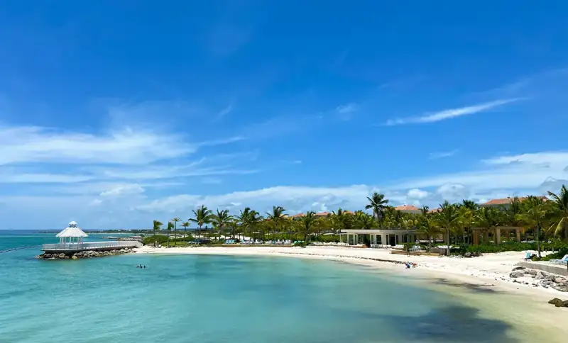 A sandy beach with palm trees and blue water