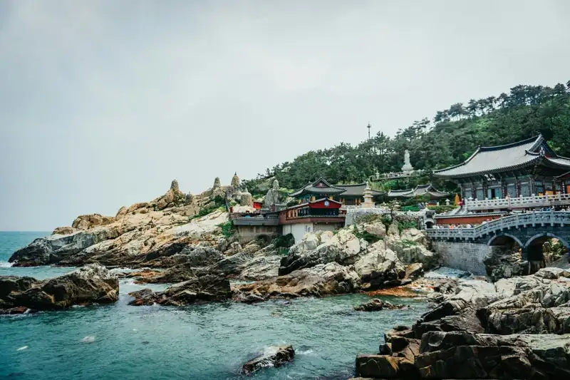 Houses near body of water during daytime