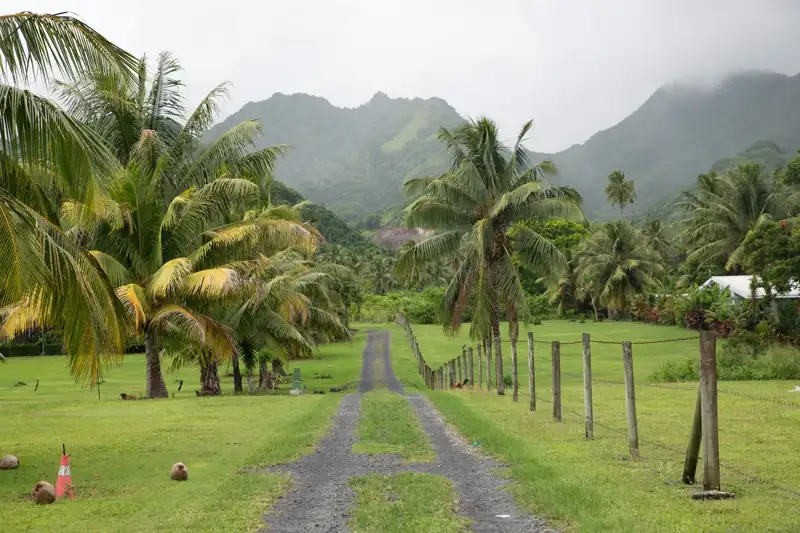 A dirt road surrounded by palm trees on a cloudy day