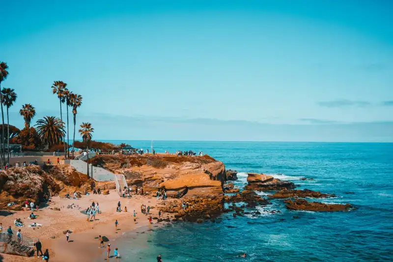 People on beach during daytime