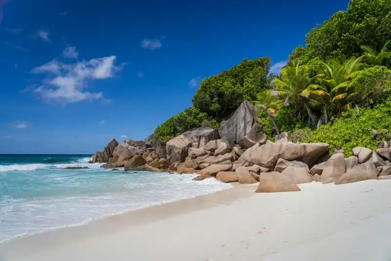 A beach with rocks and trees
