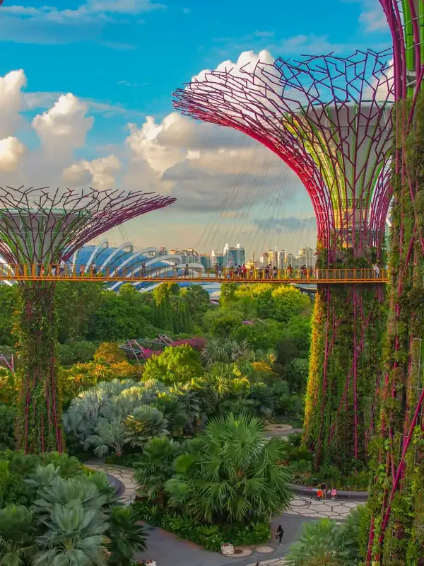 People walking on a walkway between Supertrees at Gardens by the Bay in Singapore
