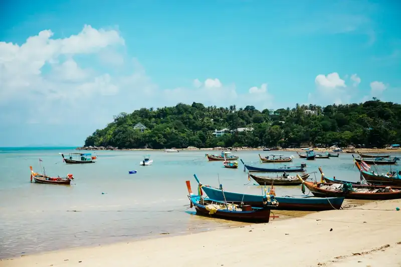 Boats on shore during daytime