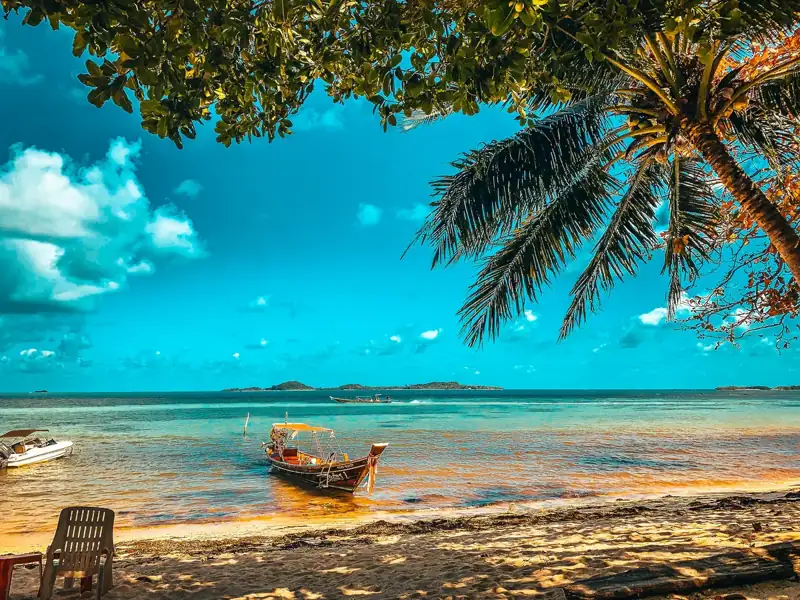 Brown boat on beach during daytime