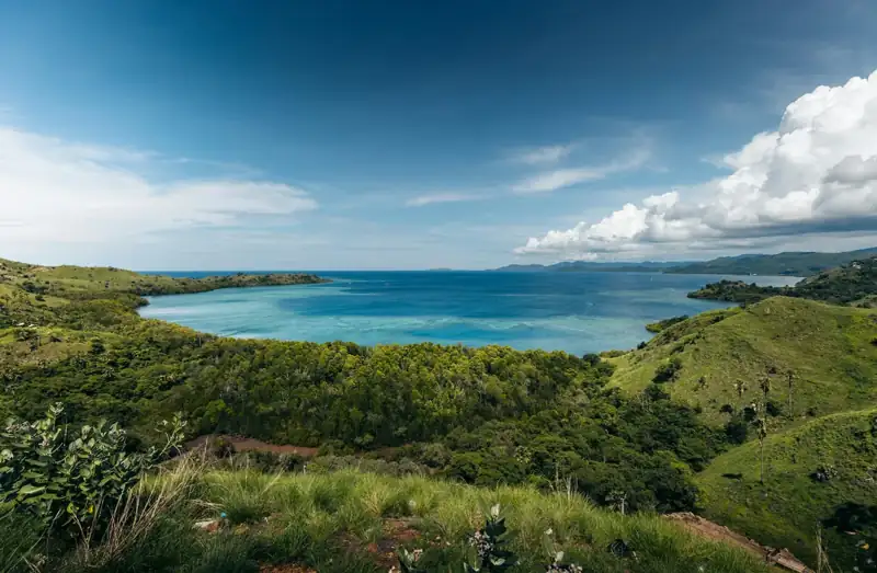 A scenic view of a body of water from a hill